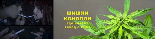 ПСИЛОЦИБИНОВЫЕ ГРИБЫ Баксан
