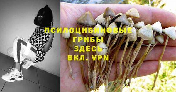 ПСИЛОЦИБИНОВЫЕ ГРИБЫ Баксан