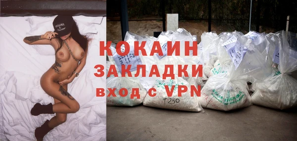 трава Белокуриха